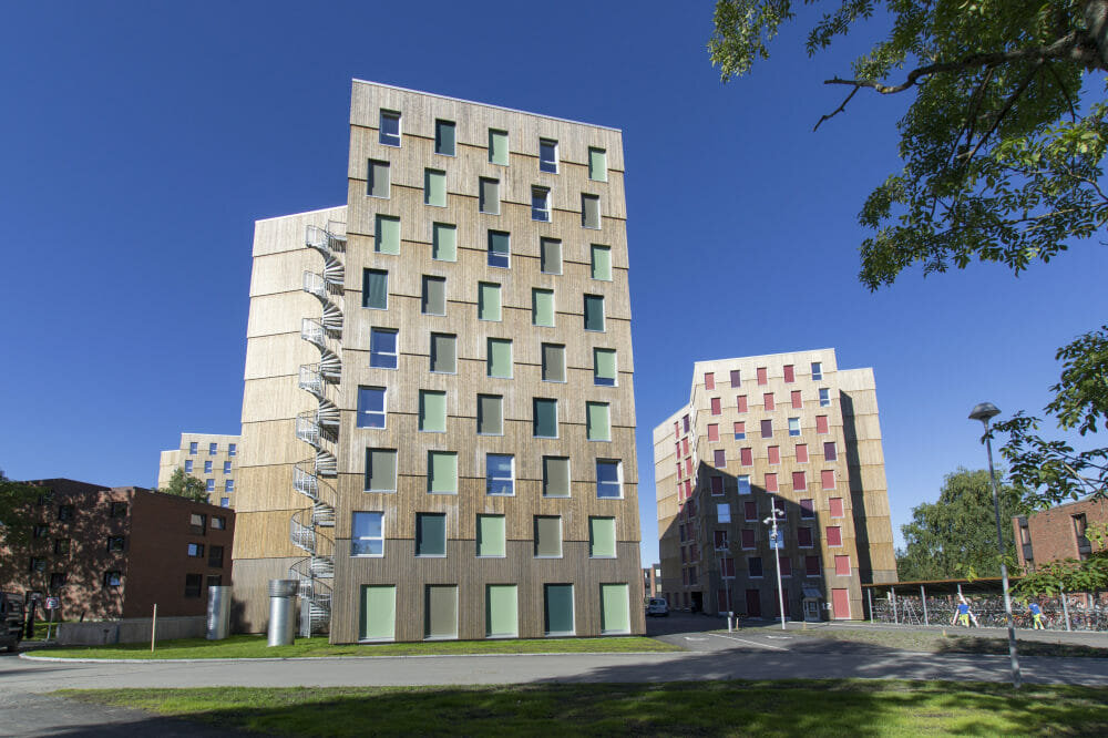 Europe’s largest cross laminated timber structure complete with Kebony cladding