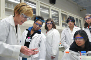The gender gap in STEM subjects