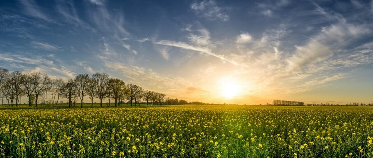 LIFE AS WE DON’T YET KNOW IT: BUILDING A SMART MODEL FOR SUSTAINABLE ENERGY PRODUCTION