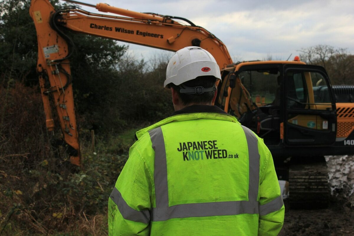 Japanese Knotweed: It’s Knot to be Ignored @knotweedLTD