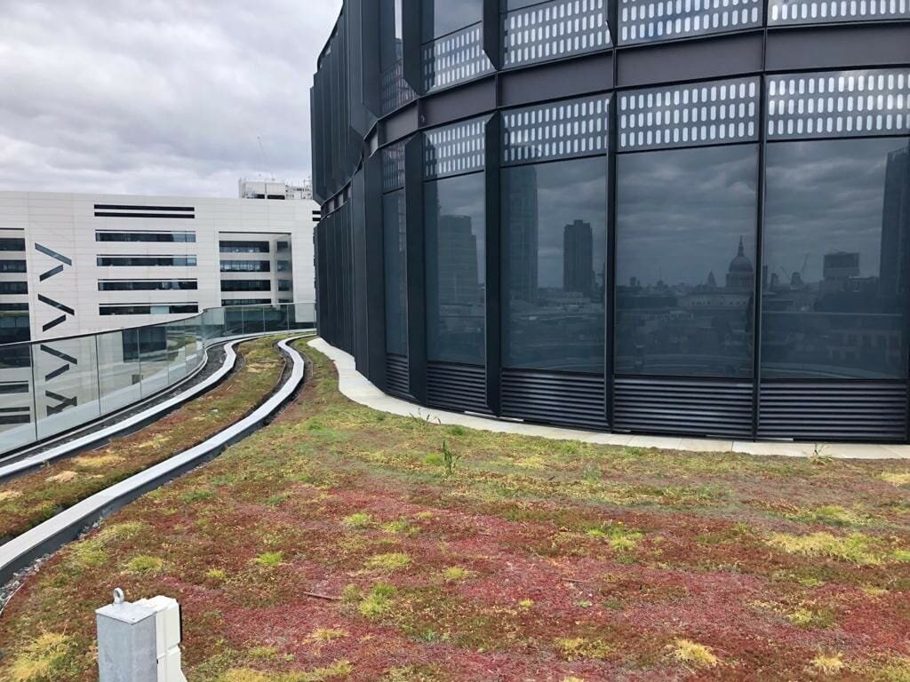Diversity of capability helps EGR contribute towards new standards in office wellbeing @EcoGreenRoofs
