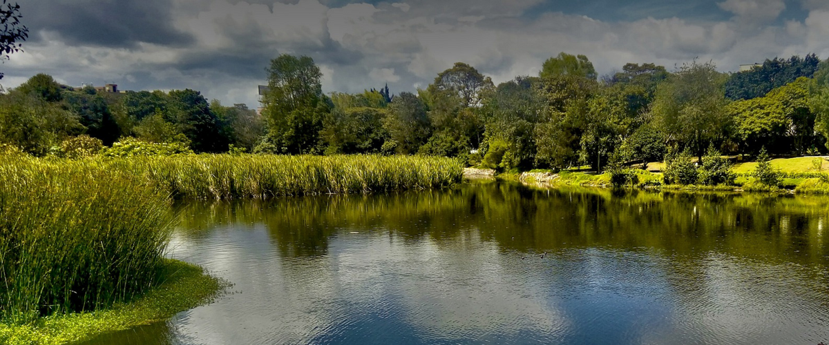 RSK group launches Solutions By Nature to deliver blue-green infrastructure to the UK water market @RSKGroup