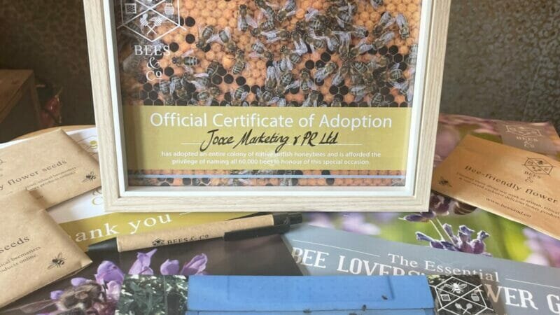 Jooce Marketing & PR Supporting Britain’s Bees