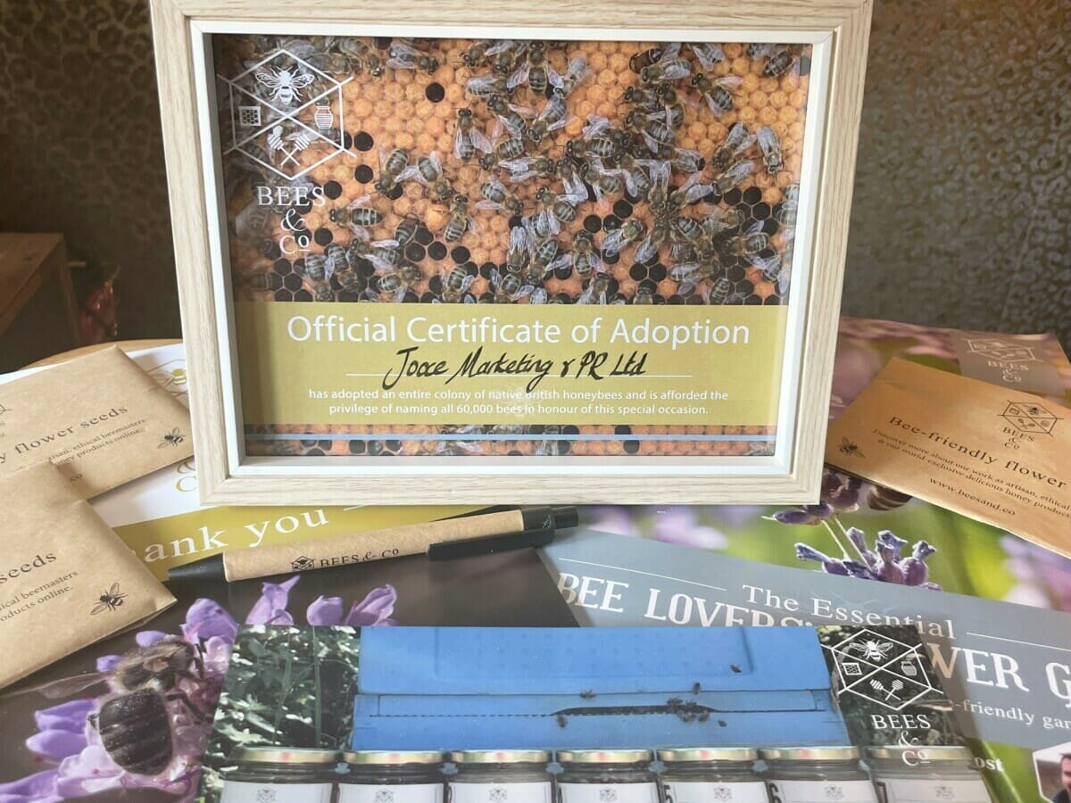 Jooce Marketing & PR Supporting Britain’s Bees