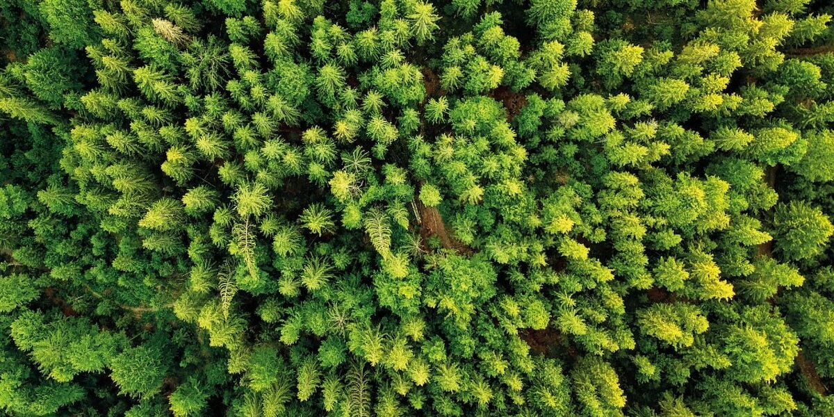 BUILDING GREENER HOMES SAFELY