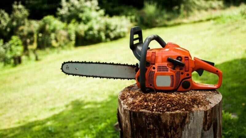 How to Use a Chainsaw