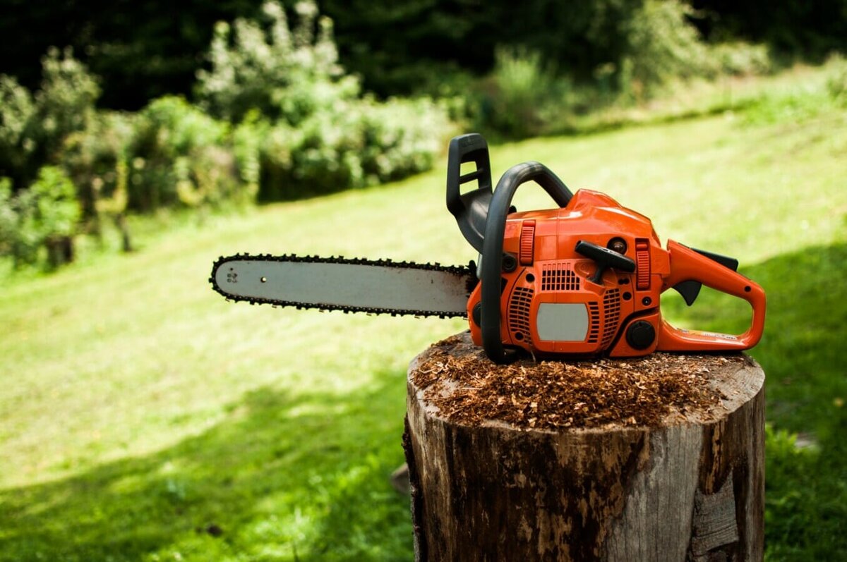How to Use a Chainsaw