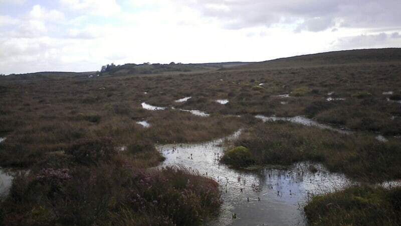 ADAS develops innovative peat-free solutions to save threatened peatlands 