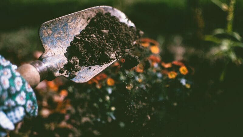 Major Names Throw Support Behind National Safe Digging Week 2022