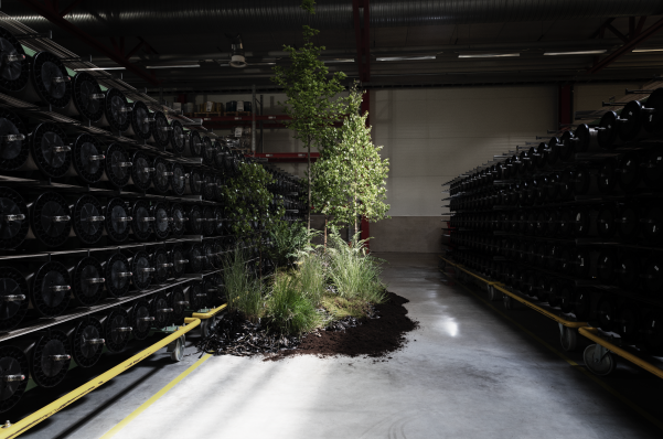 BOLON: 75 YEARS OF SUSTAINABLE INNOVATION