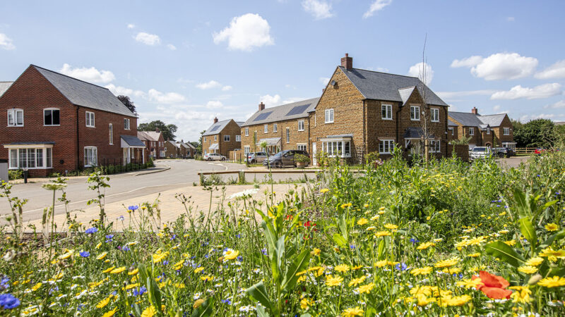 Kendrick Homes builds on its green credentials with planting milestone and £750,000 biodiversity investment