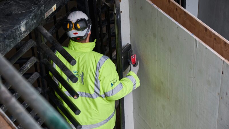 CSCS launches AI-powered app upgrade to transform application process and support Building Safety Act compliance