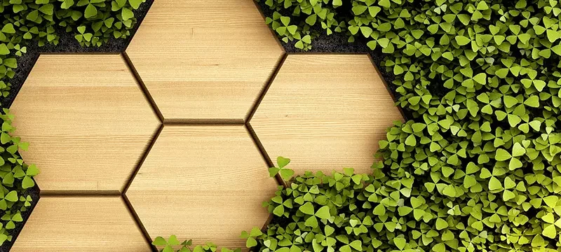 RICS and global partners launch CLEAR to align whole-life carbon reporting across the built environment