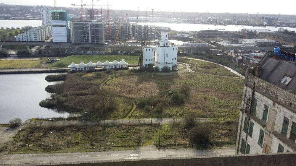 ECOLOGISTS SAFEGUARD WILDLIFE DURING PHASE ONE OF SILVERTOWN TRANSFORMATION PROJECT