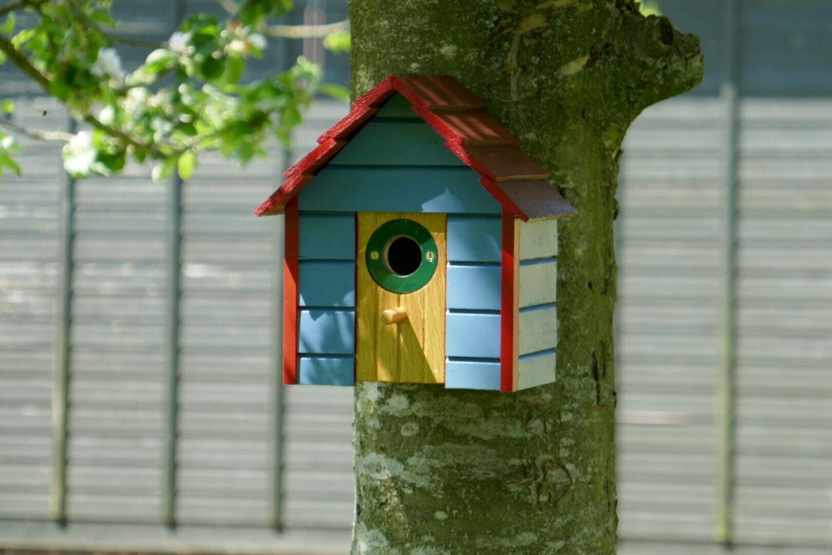 OSMO UK COLOURS AND PROTECTS BIRD BOX @osmo_uk