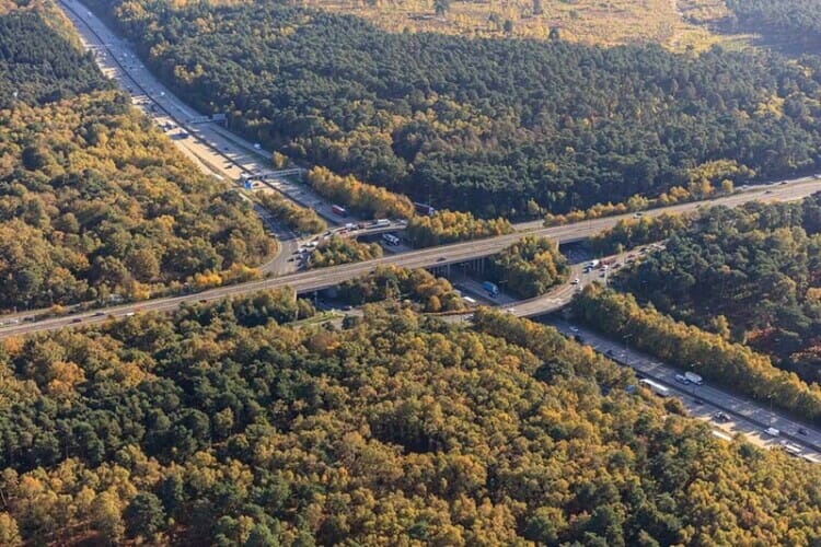 Balfour Beatty faces delay on Wisley interchange consent   @balfourbeatty