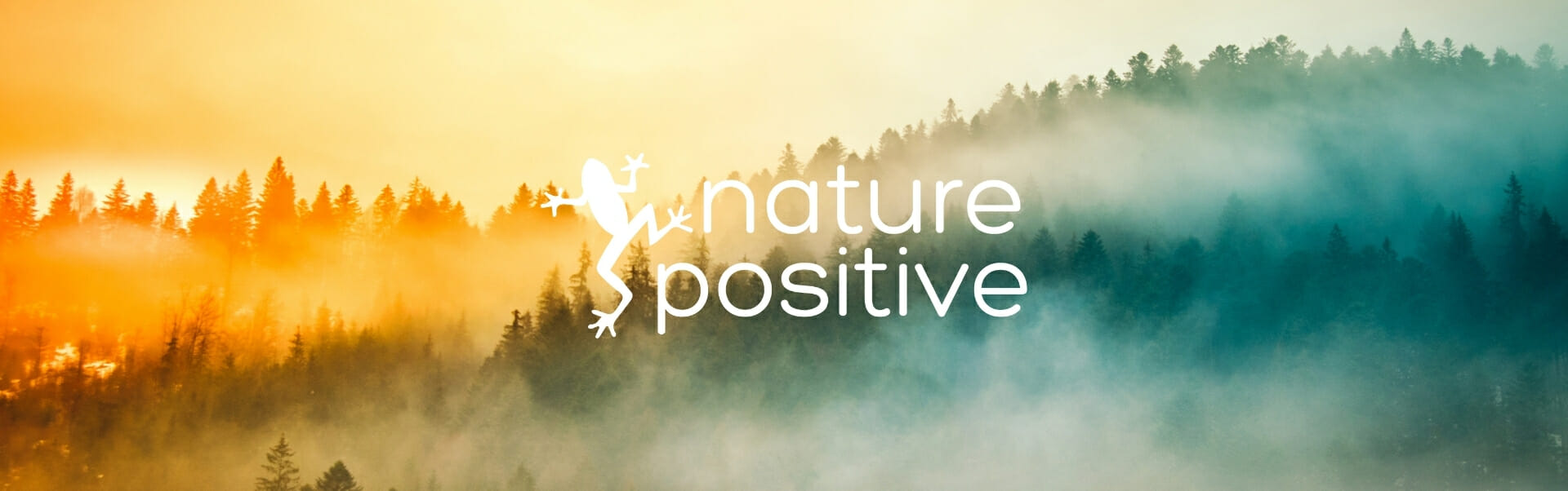 THE NEXT EVOLUTION IN BIODIVERSITY: RSK GROUP LAUNCHES NATURE POSITIVE, A MANAGEMENT CONSULTANCY TO SUPPORT SUSTAINABLE BUSINESSES @RSKGroup @naturepositive_