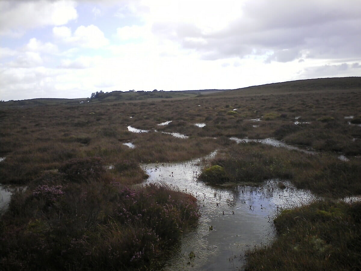 ADAS develops innovative peat-free solutions to save threatened peatlands 