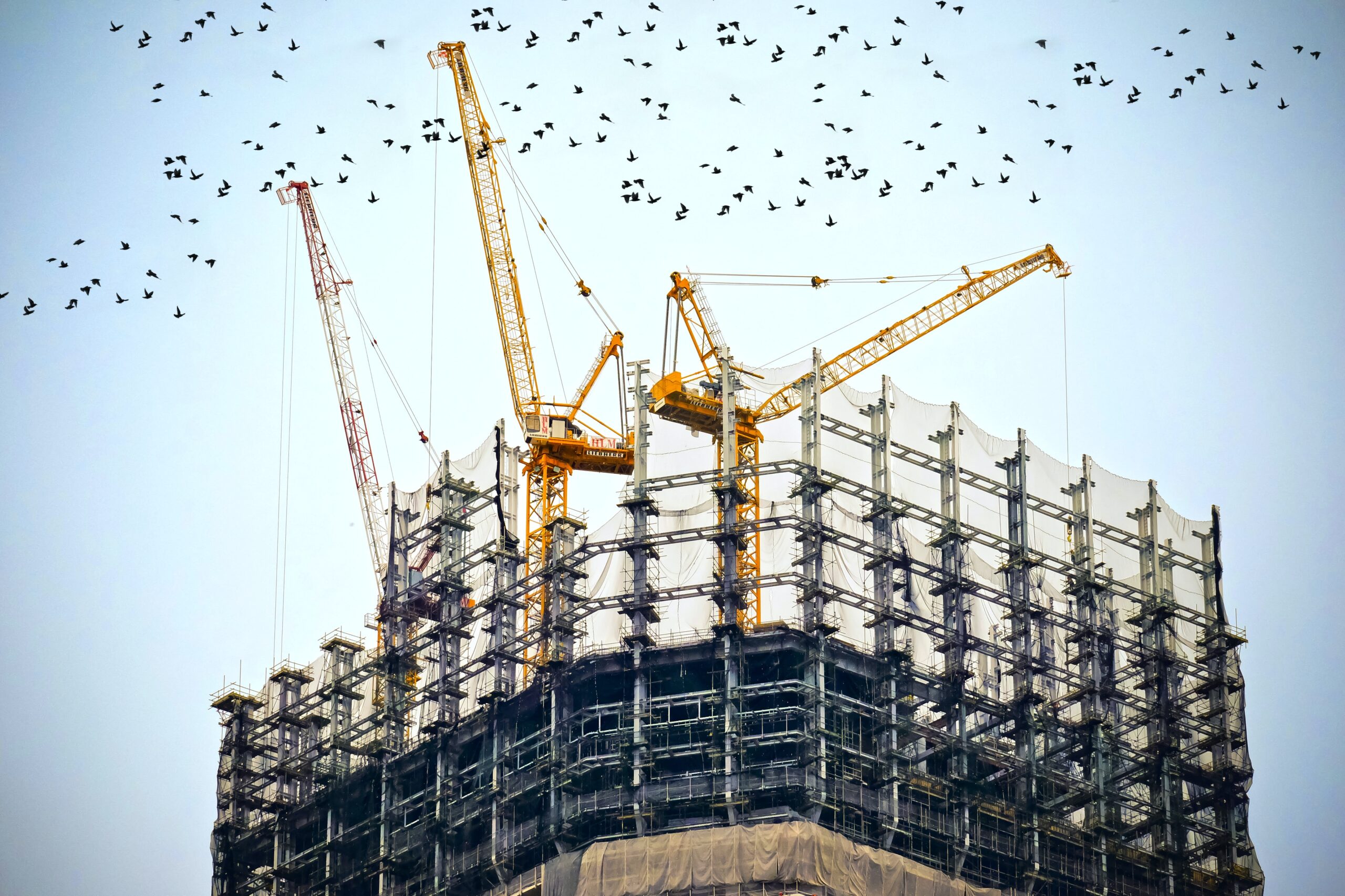 Digital construction expert predicts 2024 trends for the industry