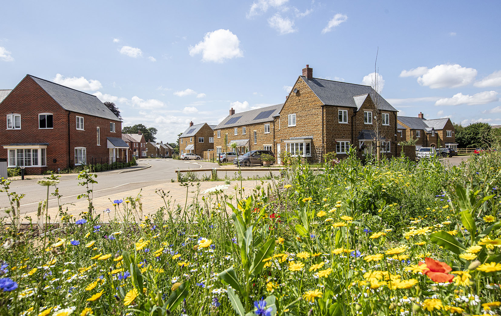 Kendrick Homes builds on its green credentials with planting milestone and £750,000 biodiversity investment