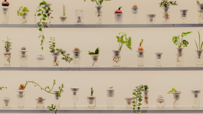 ALICJA PATANOWSKA CREATES ‘PLANTATION’, THE FIRST ARTIST  INSTALLATION FOR THE URBAN FARMER PROJECT  IN LONDON’S FLEET STREET QUARTER (BID)